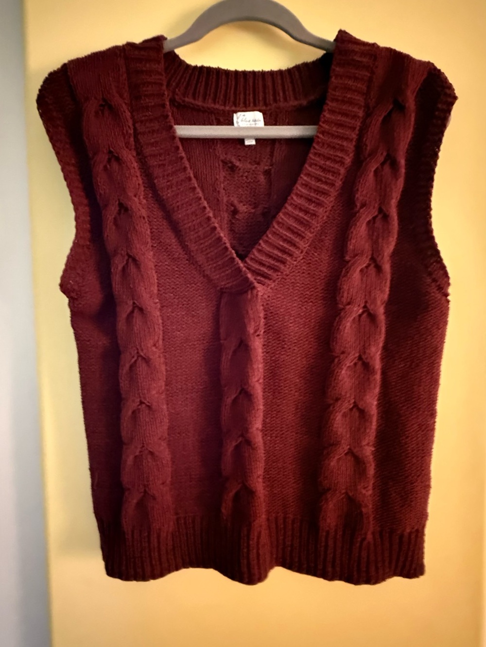 Francesca's Collections Burgundy Cable Knit V-Neck Sweater Vest